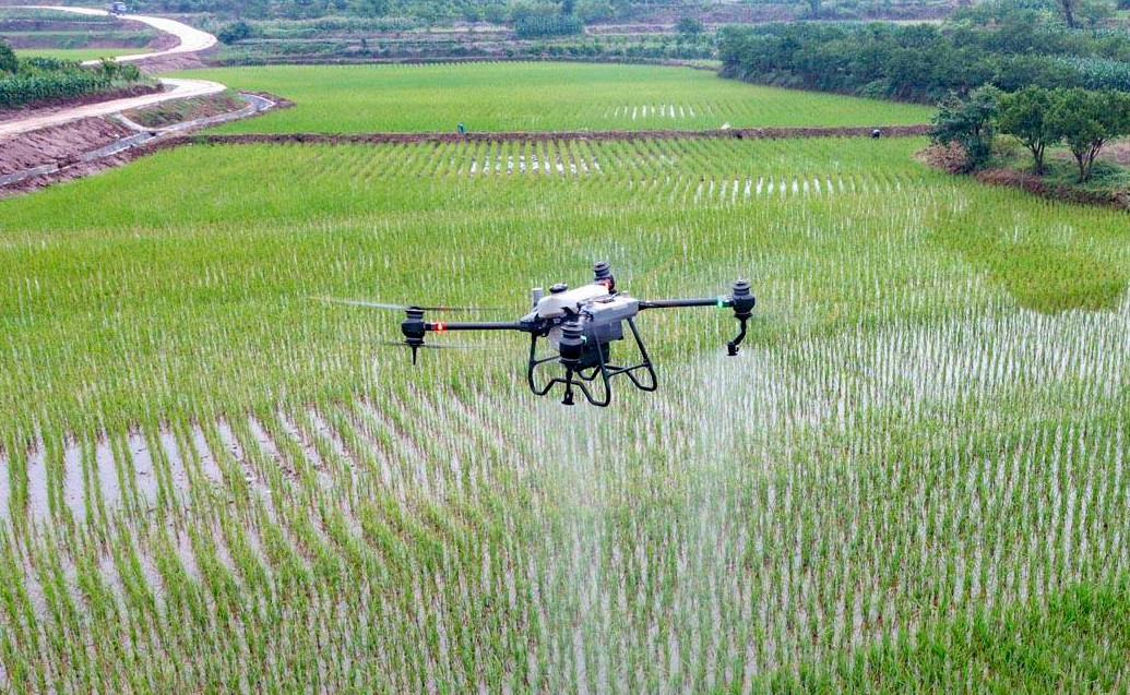 O teste com drones ajuda a direcionar herbicidas e melhorar a qualidade da água.